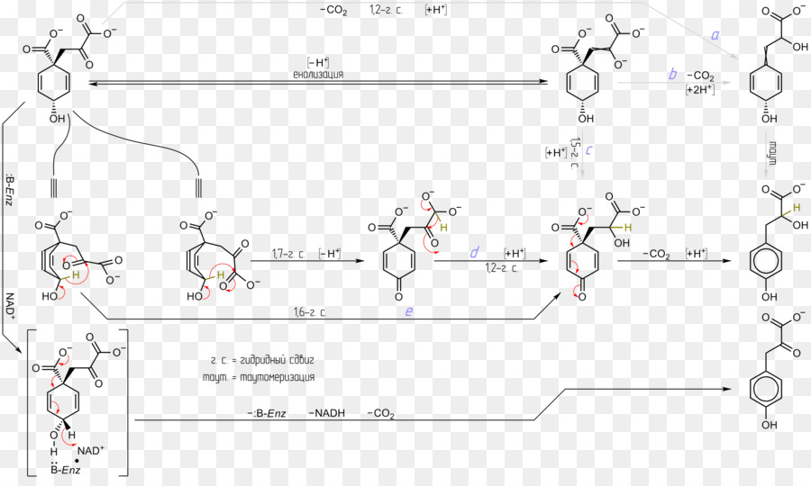 Diagrama De Reacción Química，Química PNG