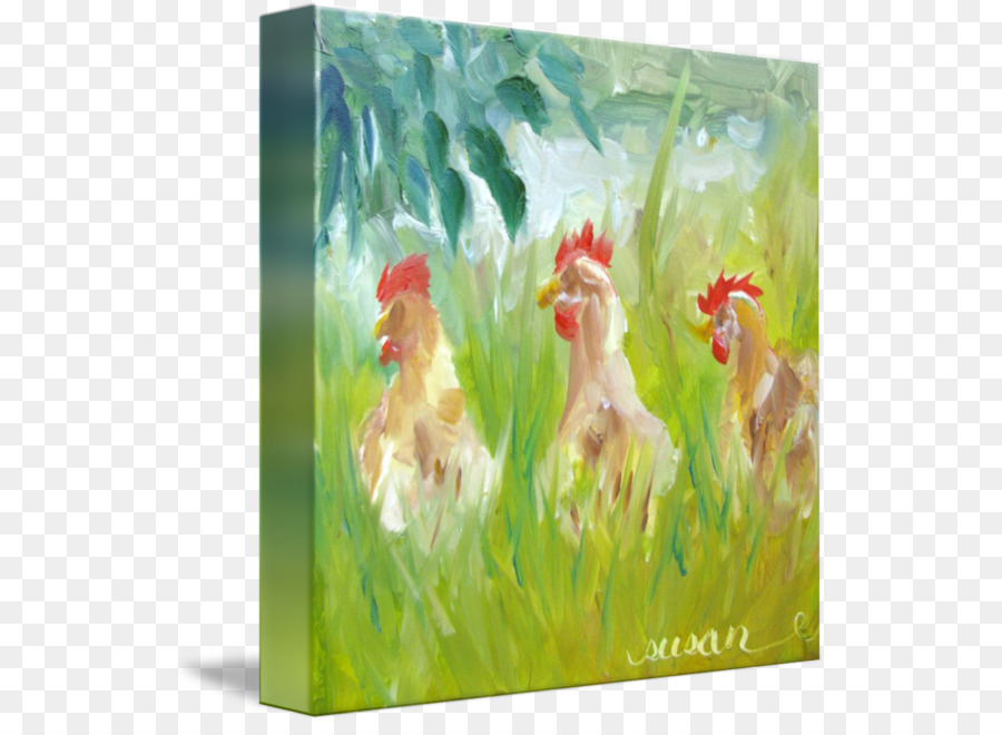 Gallo，Pintura A La Acuarela PNG