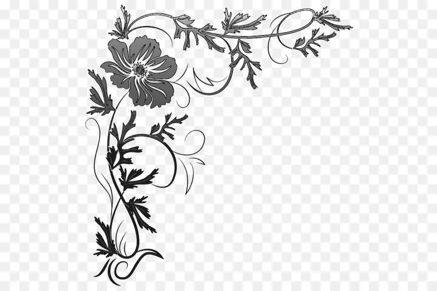 Diseño Floral，Dibujo PNG