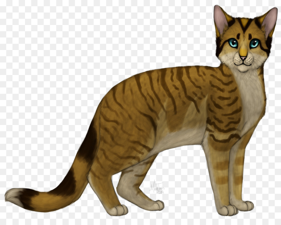 Toyger，Shorthair Americano PNG