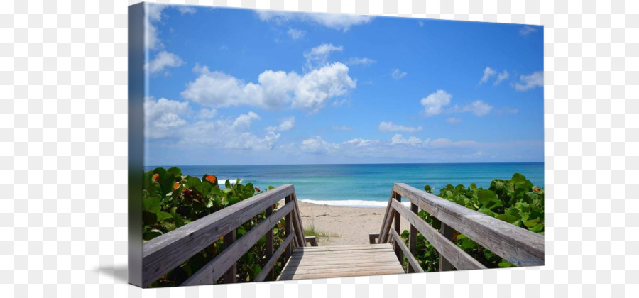 Costa，Juno Beach Pier PNG