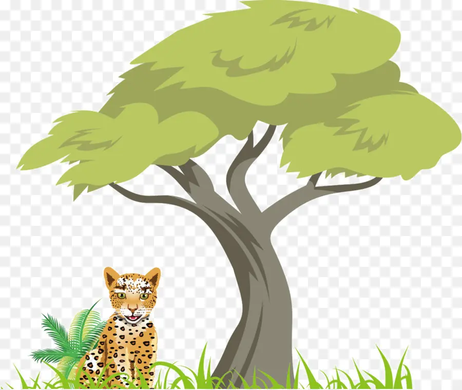 Leopardo，Árbol PNG