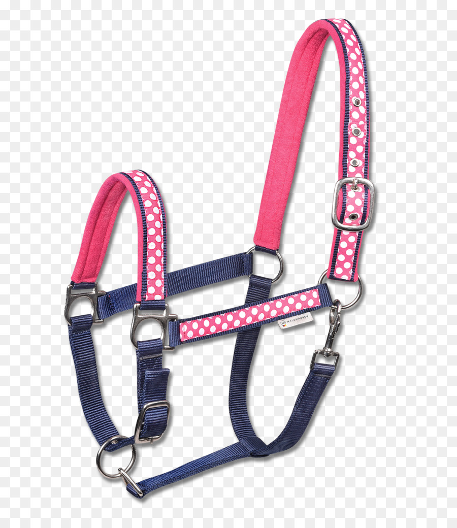 Caballo，Soporte PNG