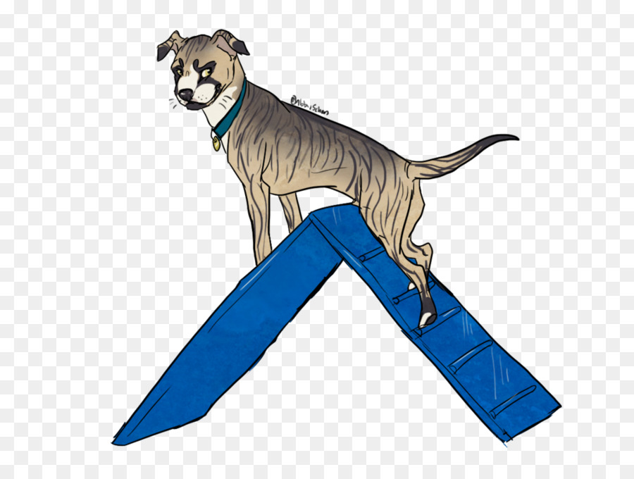 Raza De Perro，Cachorro PNG