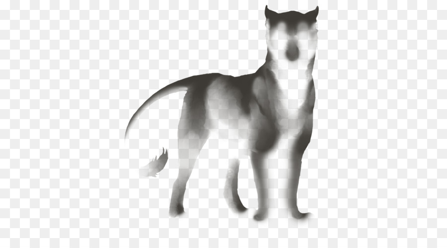 Husky Siberiano，Sakhalin Husky PNG