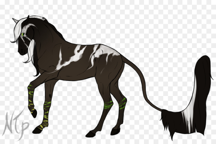 Mustang，Melena PNG