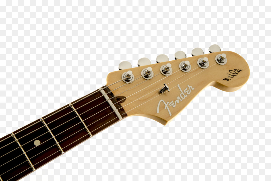 Diapasón，Fender Stratocaster PNG