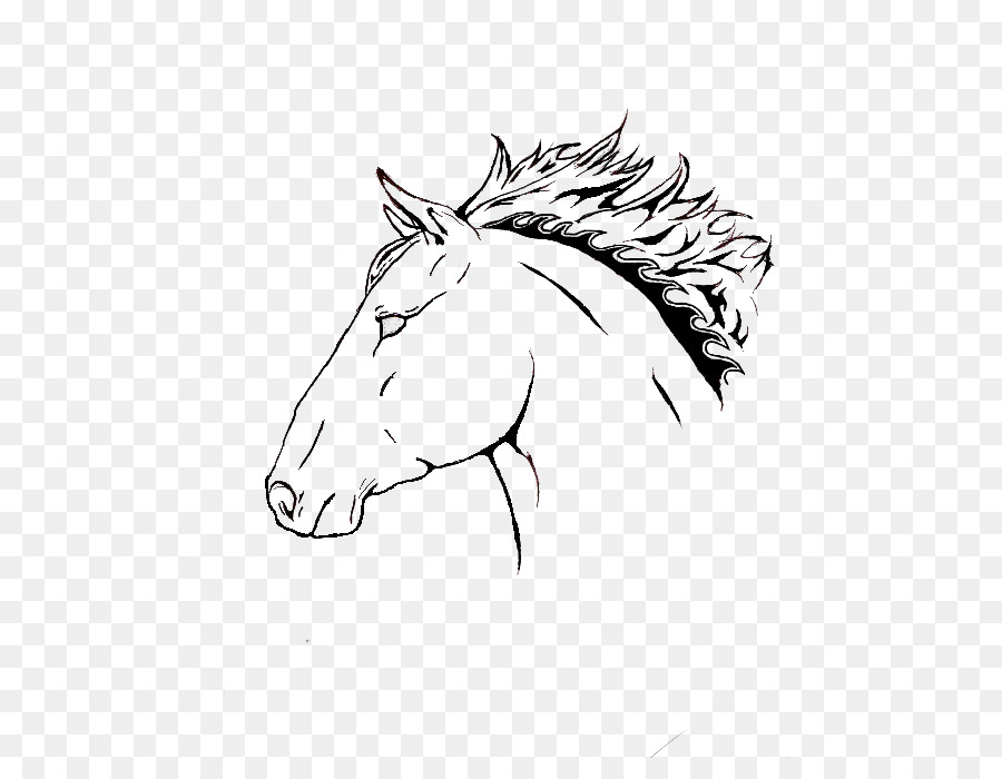 Cabeza De Caballo，Bosquejo PNG