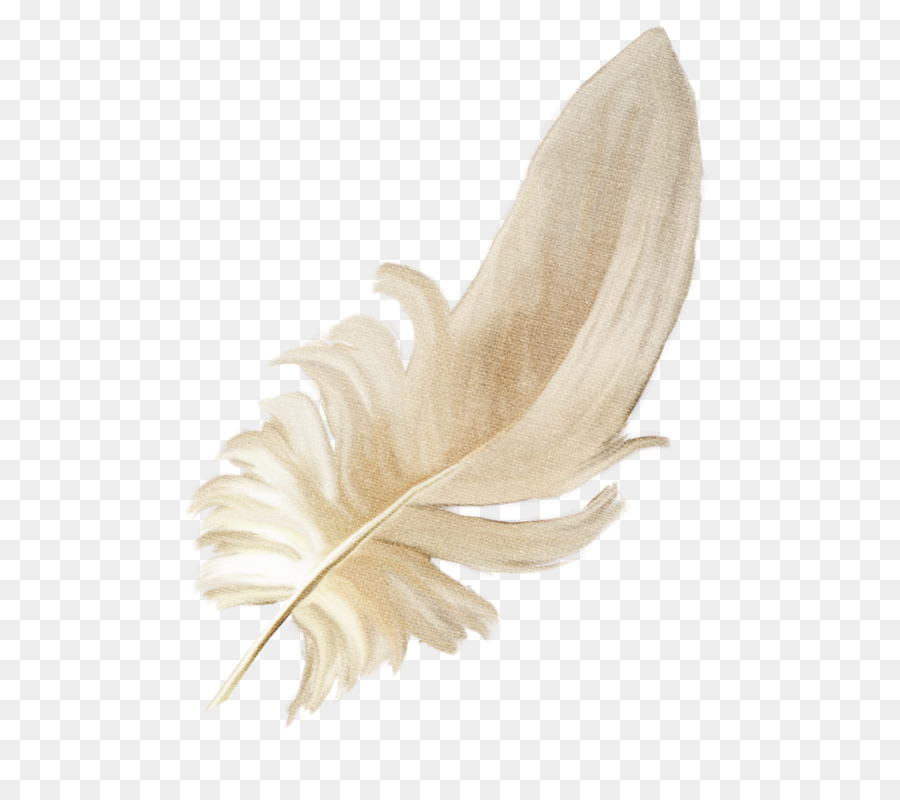 Pluma，Ropa PNG