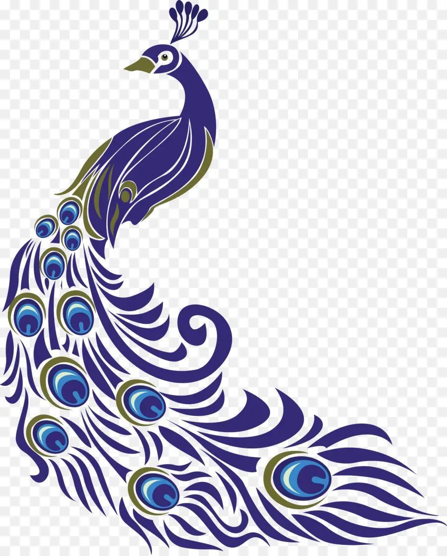 Pavo，Dibujo PNG