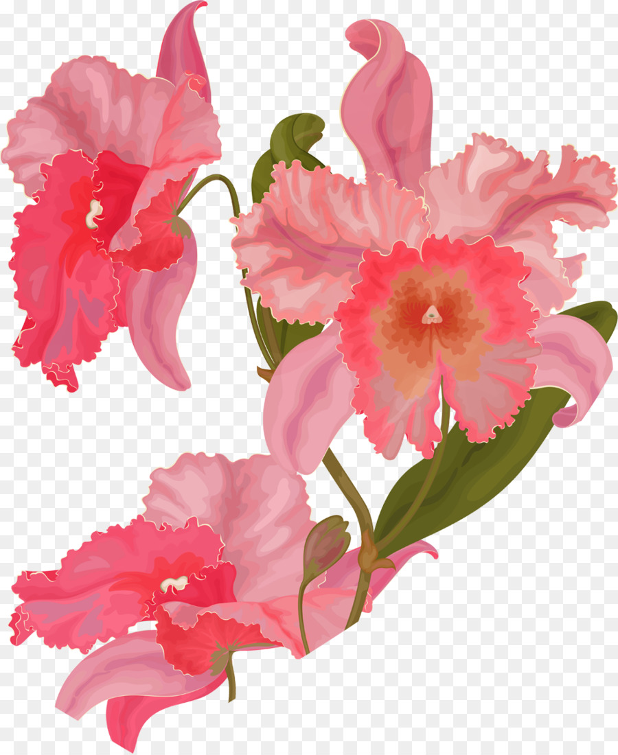 Flores Rosadas，Flores PNG