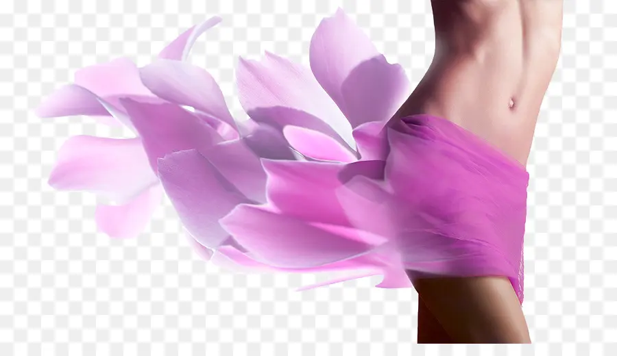 Cuerpo Femenino De Forma，Cuerpo Humano PNG