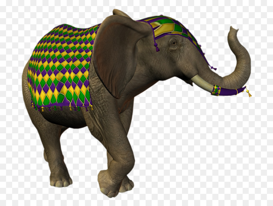 Elefante Indio，El Elefante Africano PNG