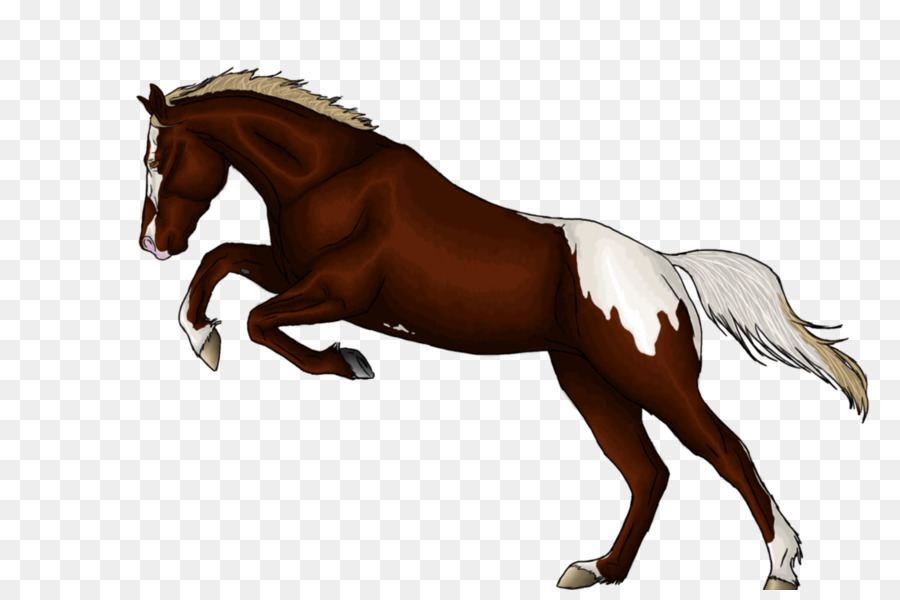 Caballo Corriendo，Animal PNG