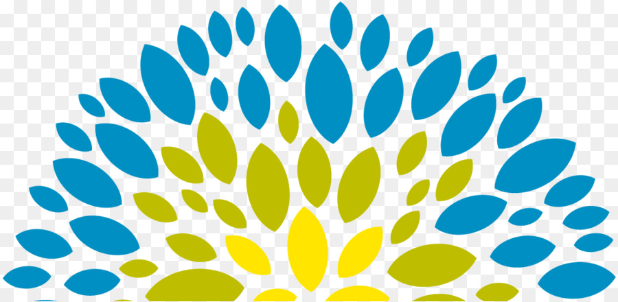 Diseño Floral，Cuadro PNG