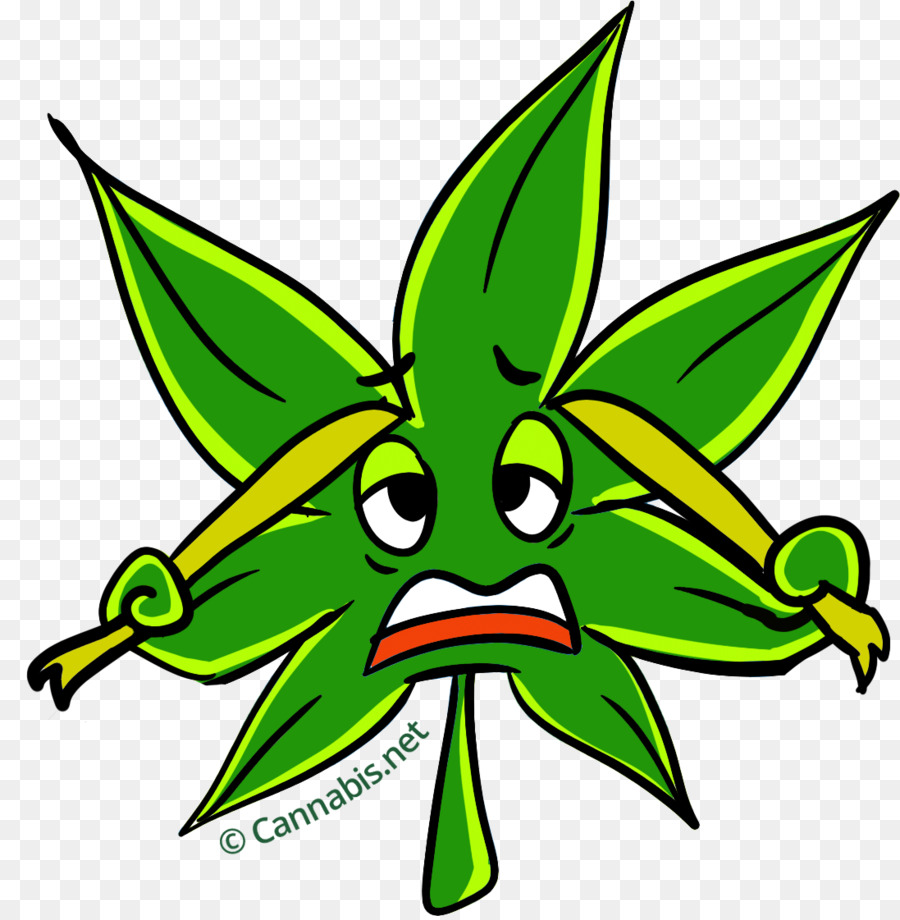 Hoja，Planta PNG