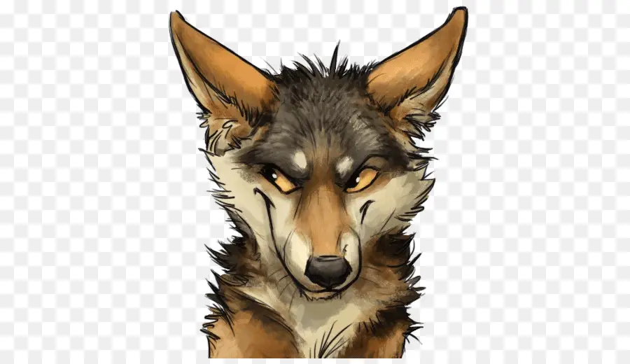 Lobo Gris，Coyote PNG