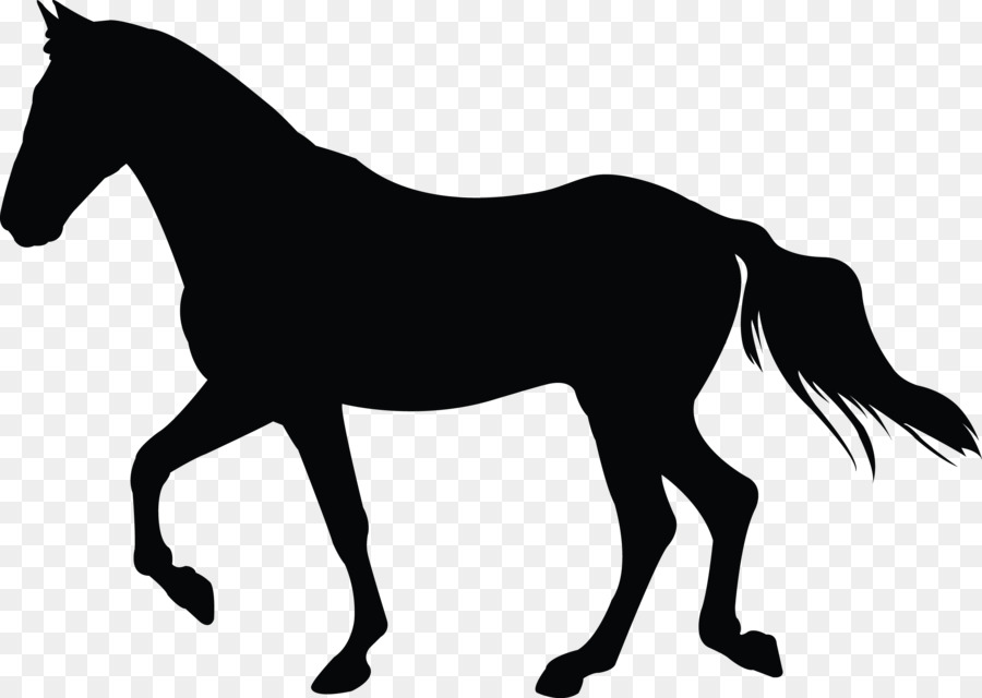 Caballo Negro，Silueta PNG