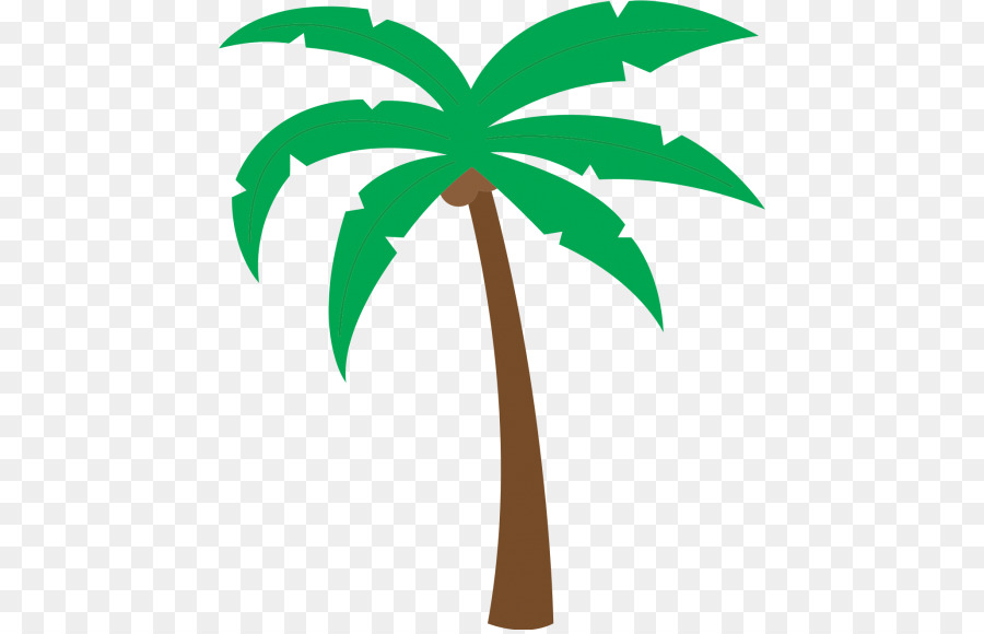 Palmera，Tropical PNG