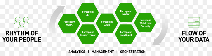 Forcepoint，Datos De Software De Prevención De Pérdida PNG