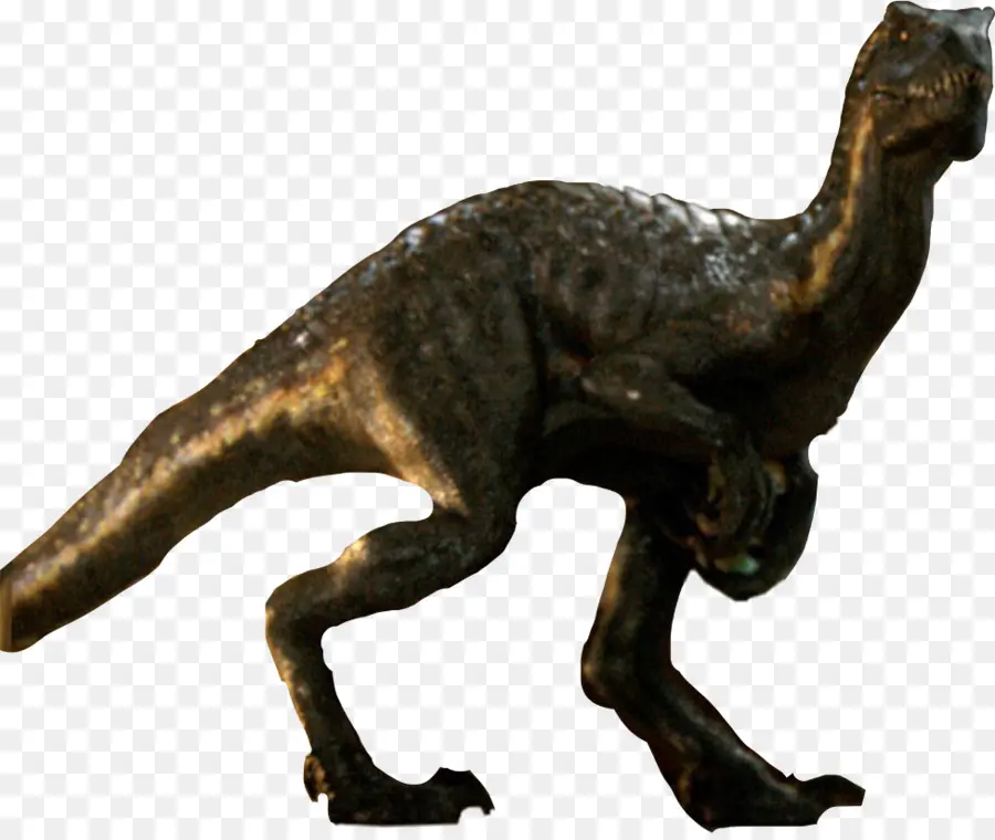 Velociraptor，Dibujo PNG