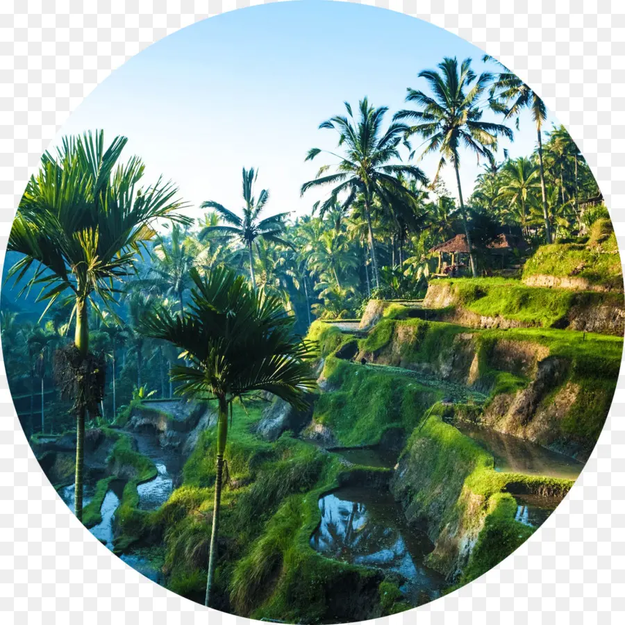 Ubud，Lombok PNG