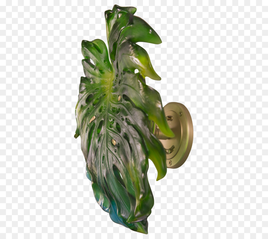 Daum，Monstera PNG