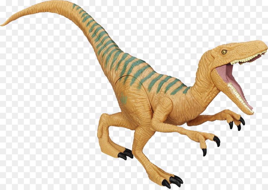 Velociraptor，Amazoncom PNG