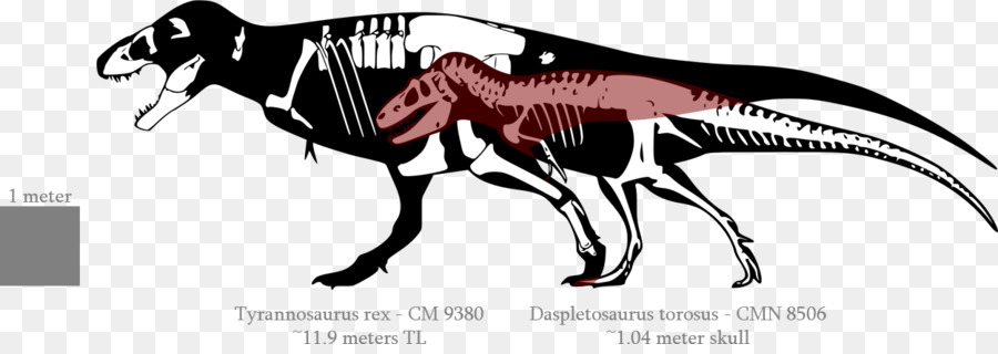 Tyrannosaurus，Nanotirano PNG