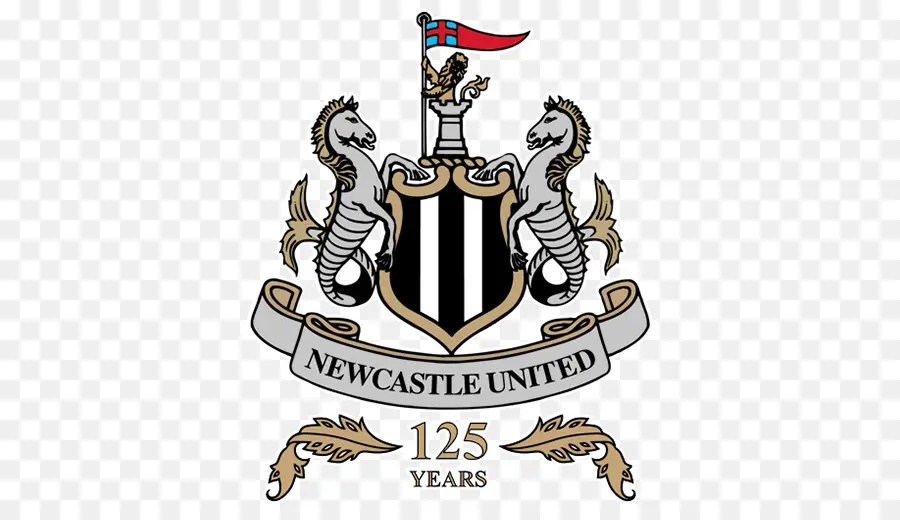 Newcastle United，Fútbol Americano PNG