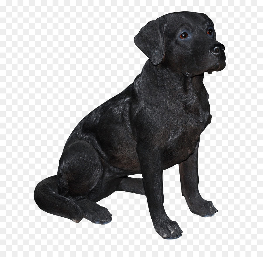 Perro Negro，Mascota PNG