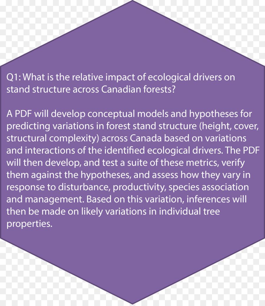 La Investigación，Investigador Postdoctoral PNG