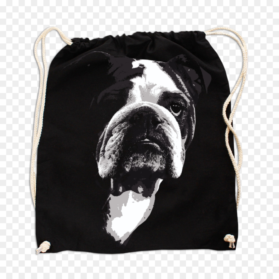 Bulldog，Camiseta PNG