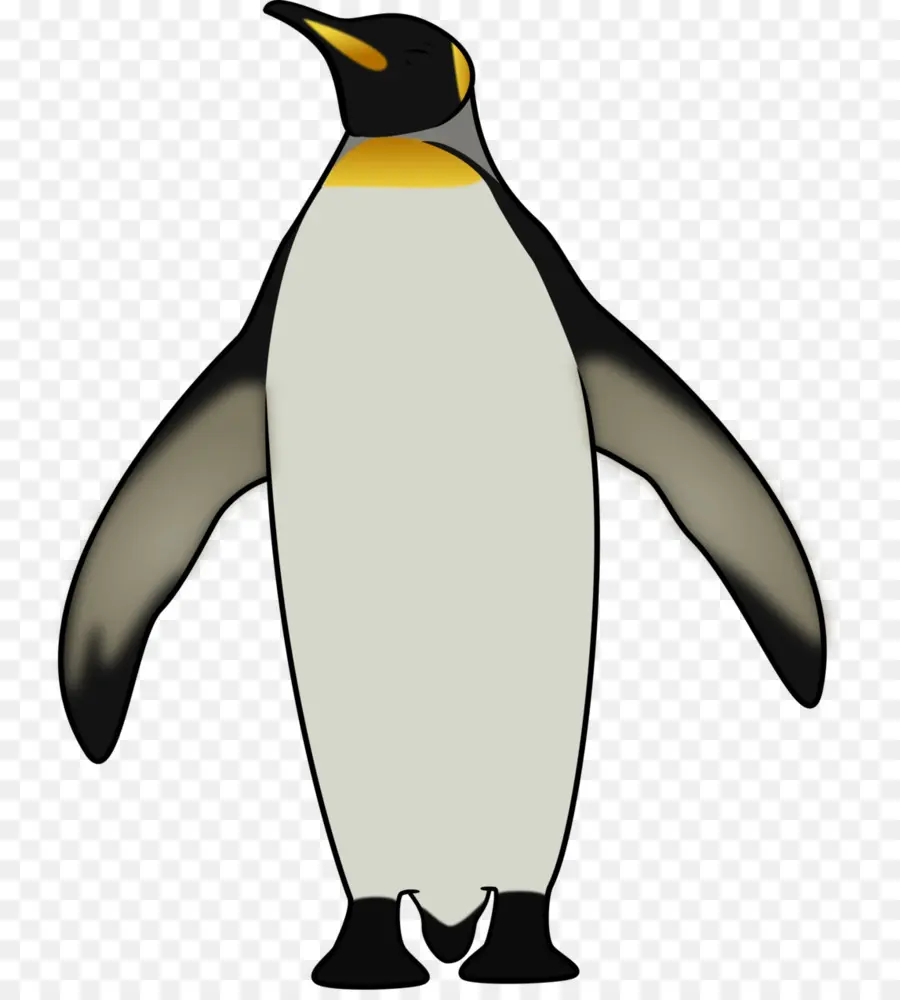 Pingüino Rey，Pingüino PNG
