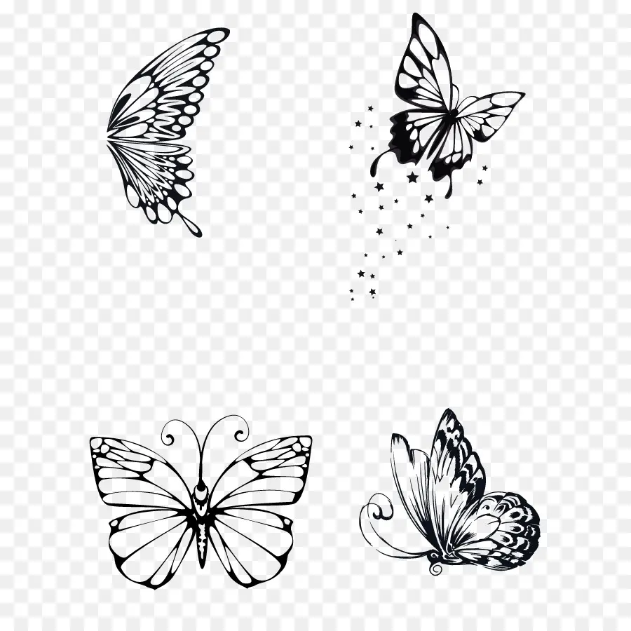La Mariposa Monarca，Dibujo PNG