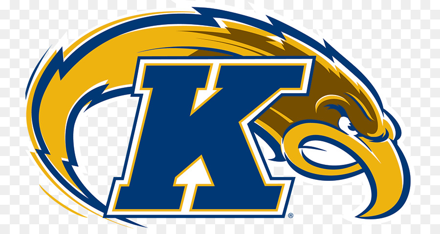 Universidad Estatal De Kent，Kent State Golden Flashes Football PNG