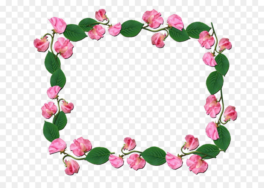 Marco Floral，Flores PNG