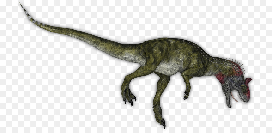 Velociraptor，Tiranosaurio PNG