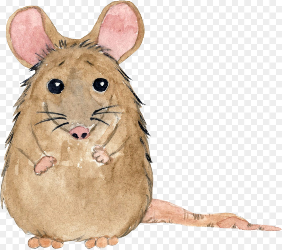 Lindo Raton，Dibujos Animados PNG