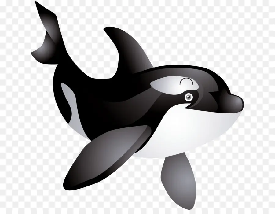 Ballena De Dibujos Animados，Orca PNG