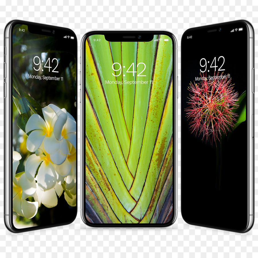 Smartphone，Iphone 8 PNG