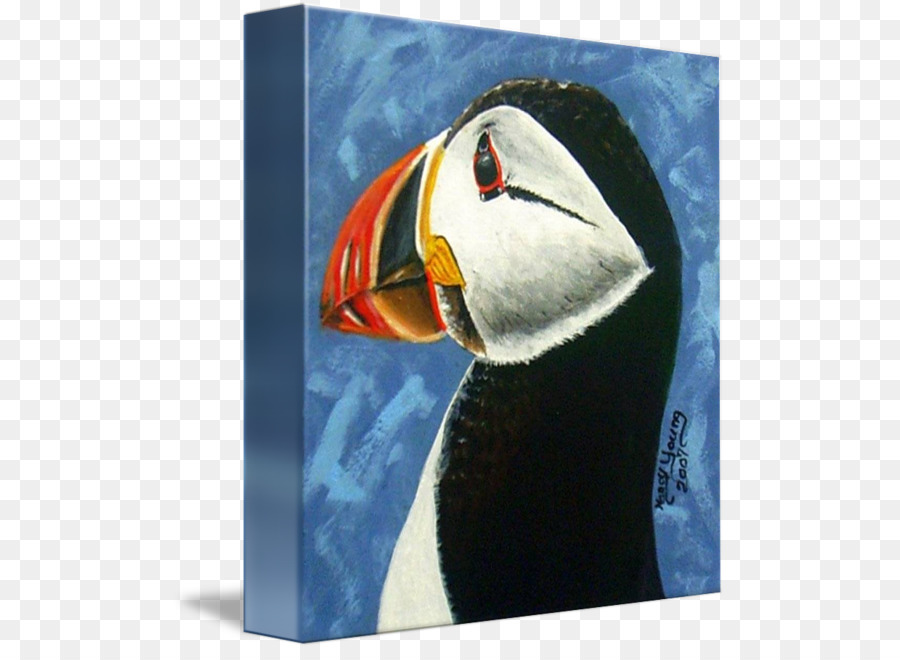 Puffin，Pintura PNG