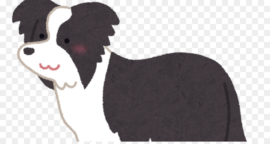 Border Collie，Escocés PNG