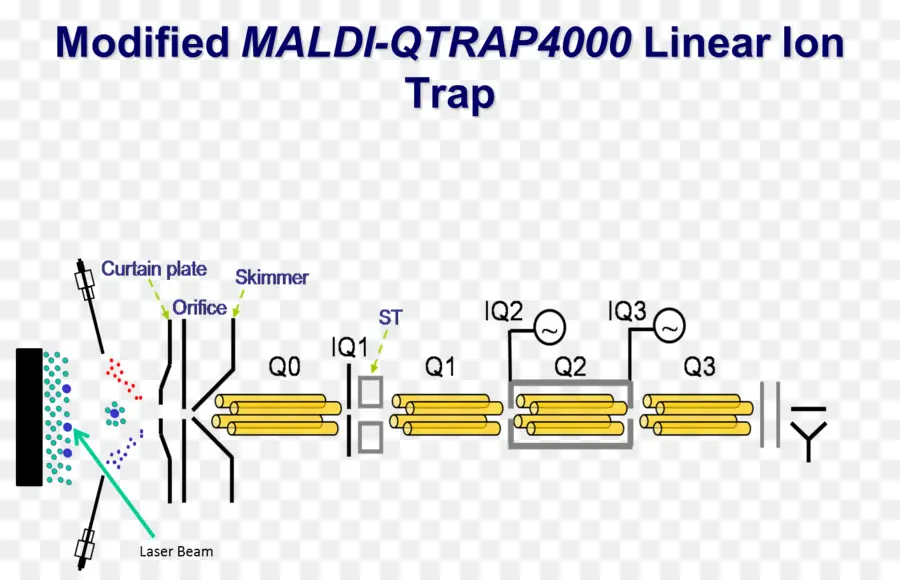 Diagrama Maldi Qtrap4000，Trampa De Iones PNG