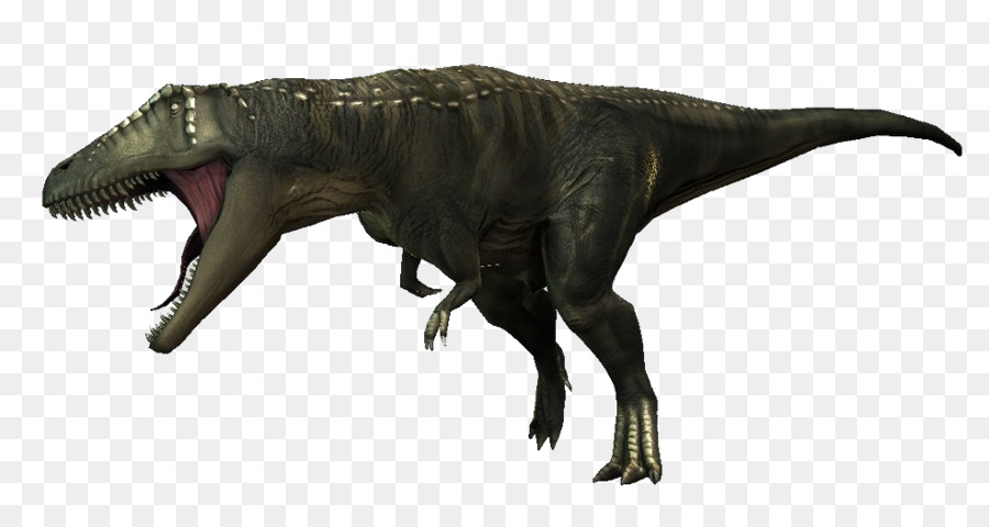 Tiranosaurio，Carcharodontosaurus PNG