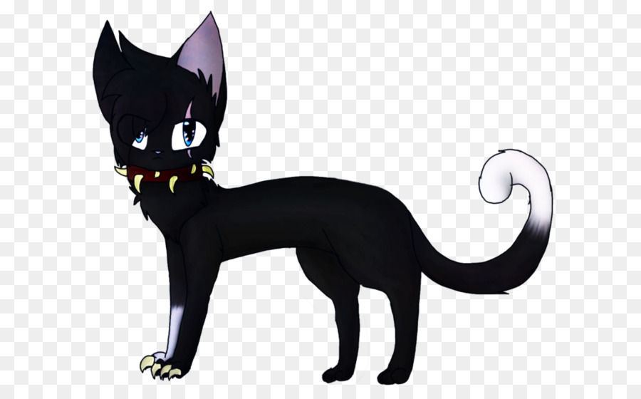 Gato Negro，Gatito PNG