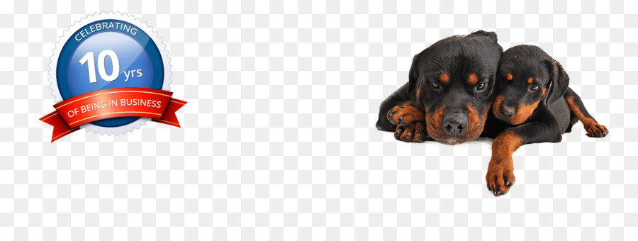 Rottweiler，Cuidado De Mascotas PNG