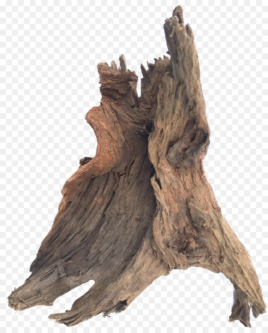 Tronco De Madera，Natural PNG