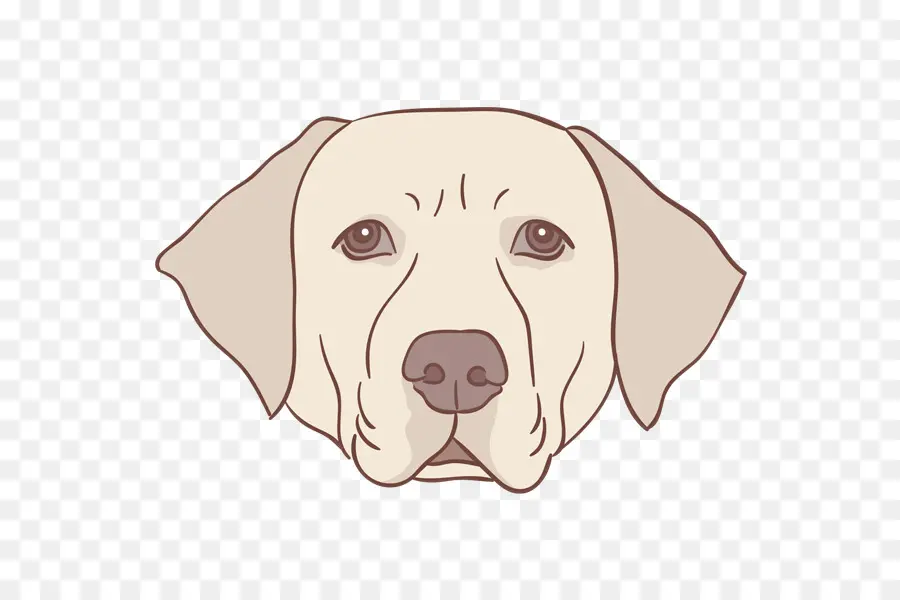 Perro，Mascota PNG