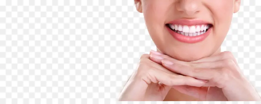 El Blanqueamiento De Dientes，Diente Humano PNG